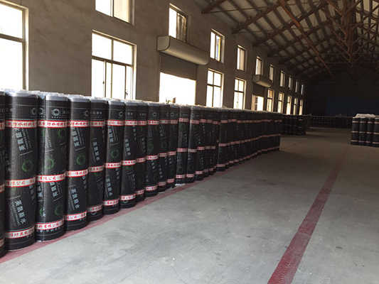 ?公司風(fēng)采