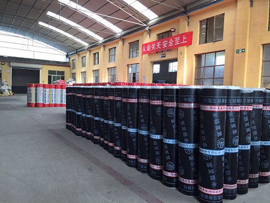 ?公司風(fēng)采